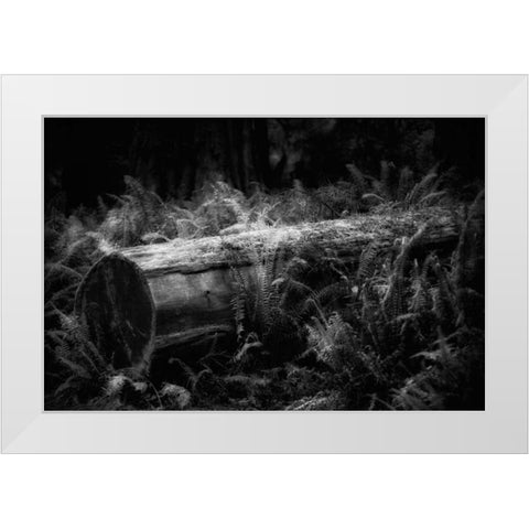Fallen White Modern Wood Framed Art Print by Rowland, Joseph