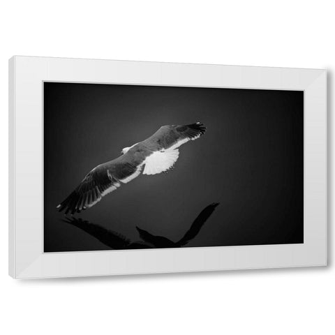 Flight White Modern Wood Framed Art Print by Rowland, Joseph