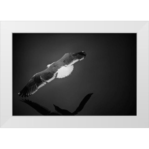 Flight White Modern Wood Framed Art Print by Rowland, Joseph