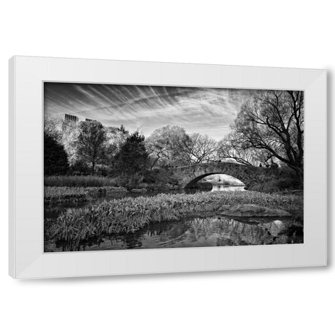 Magic Of Central Park White Modern Wood Framed Art Print by Rowland, Joseph