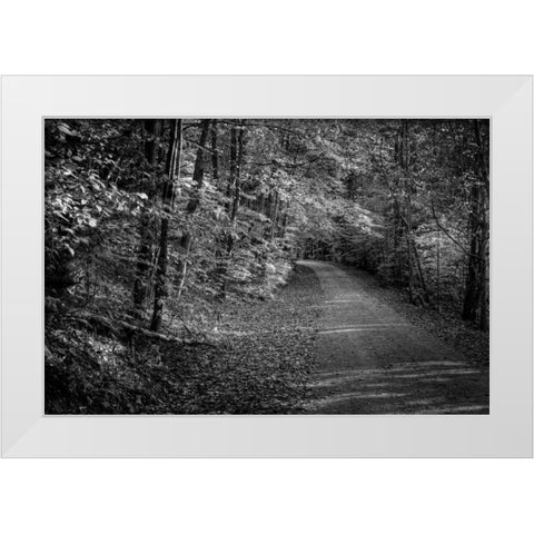 Bend In The Road White Modern Wood Framed Art Print by Rowland, Joseph