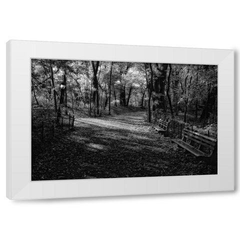 Quiet Path White Modern Wood Framed Art Print by Rowland, Joseph