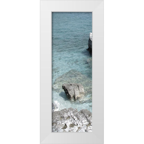 Hidden Paradise White Modern Wood Framed Art Print by Lewis, Sheldon