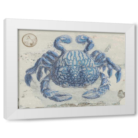 Mysterious Crustacean White Modern Wood Framed Art Print by Lewis, Sheldon