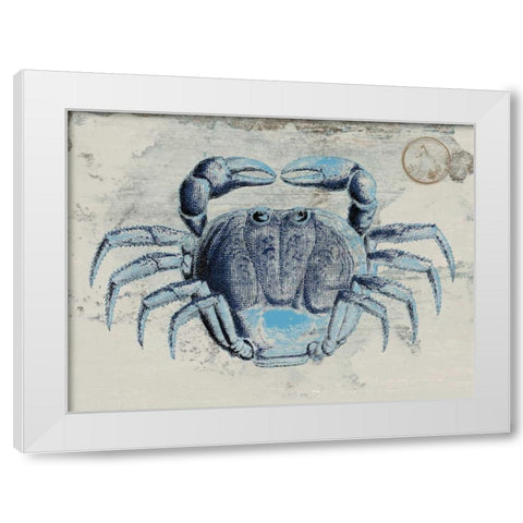Mysterious Crustacean 2 White Modern Wood Framed Art Print by Lewis, Sheldon