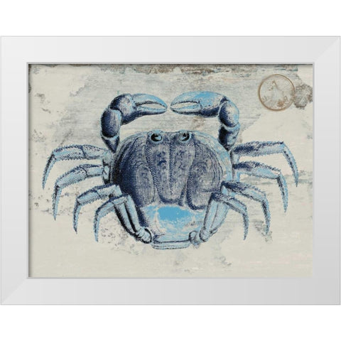 Mysterious Crustacean 2 White Modern Wood Framed Art Print by Lewis, Sheldon