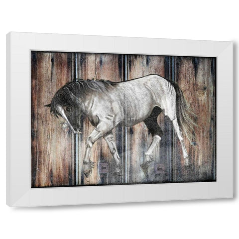 Farm Horse White Modern Wood Framed Art Print by Lewis, Sheldon