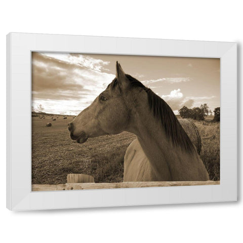 Ranch White Modern Wood Framed Art Print by Lewis, Sheldon