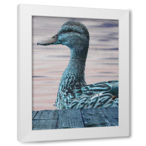 Aqua Duck White Modern Wood Framed Art Print by Lewis, Sheldon