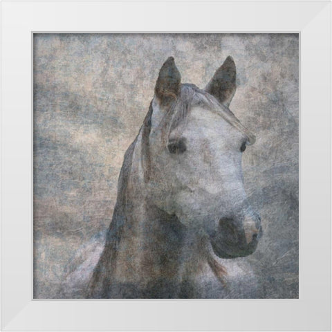 Wild River White Modern Wood Framed Art Print by Lewis, Sheldon