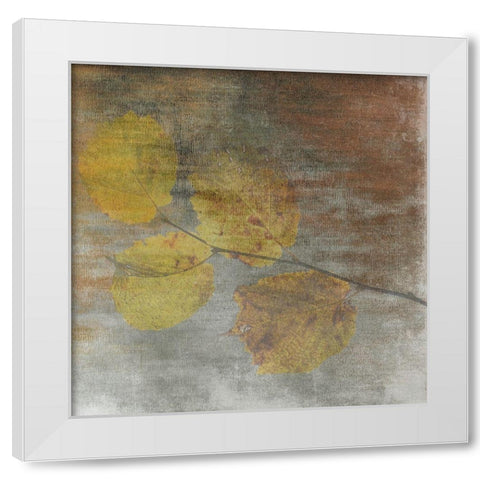 A Moment With Nature 2 White Modern Wood Framed Art Print by Lewis, Sheldon