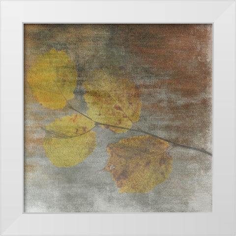 A Moment With Nature 2 White Modern Wood Framed Art Print by Lewis, Sheldon