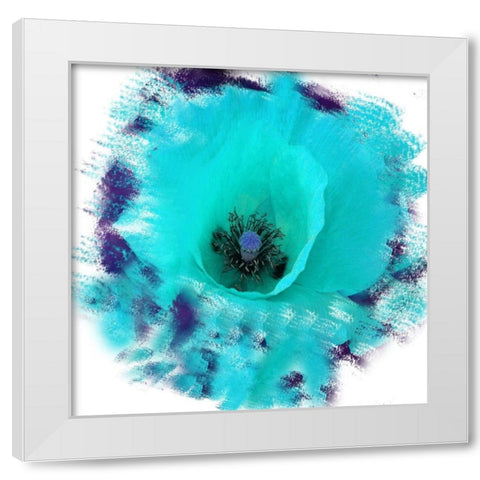 Rose Garden White Modern Wood Framed Art Print by Lewis, Sheldon