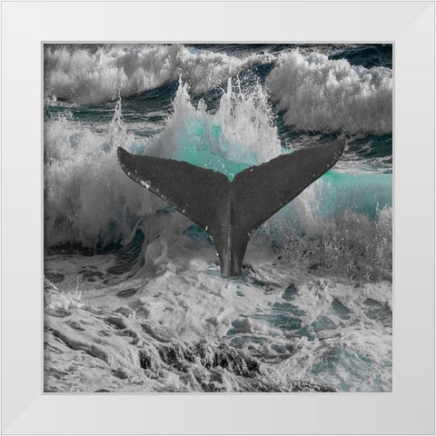 Caribbean Coast White Modern Wood Framed Art Print by Lewis, Sheldon