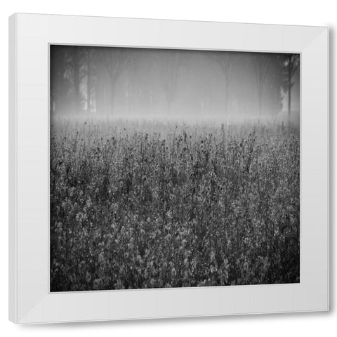 Wild Flower Field White Modern Wood Framed Art Print by Lewis, Sheldon