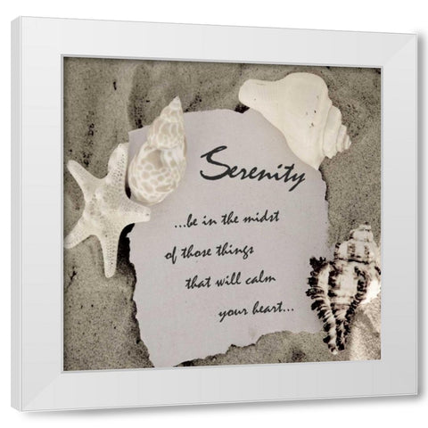 Shell Group 1 White Modern Wood Framed Art Print by Greene, Taylor