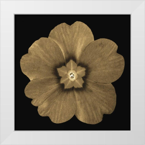 Sepia Floral A1 White Modern Wood Framed Art Print by Greene, Taylor