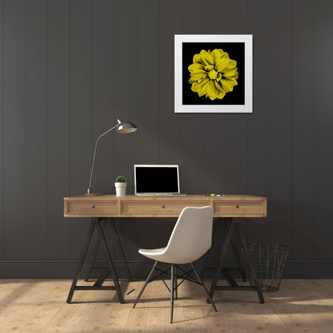 Sepia Floral IV White Modern Wood Framed Art Print by Greene, Taylor