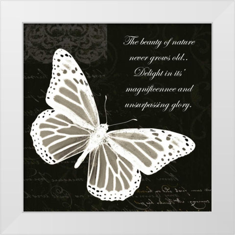 Beauty Butterfly White Modern Wood Framed Art Print by Greene, Taylor