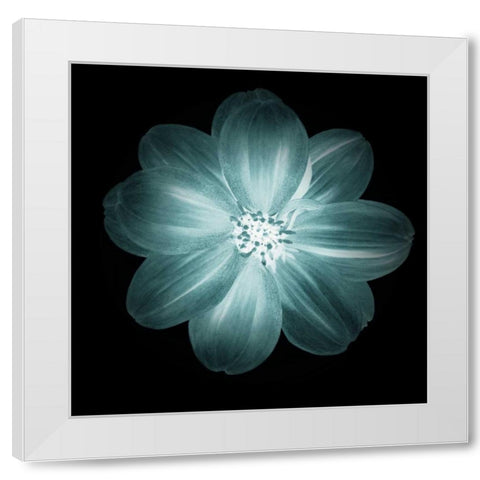 Daylight Floral III White Modern Wood Framed Art Print by Greene, Taylor