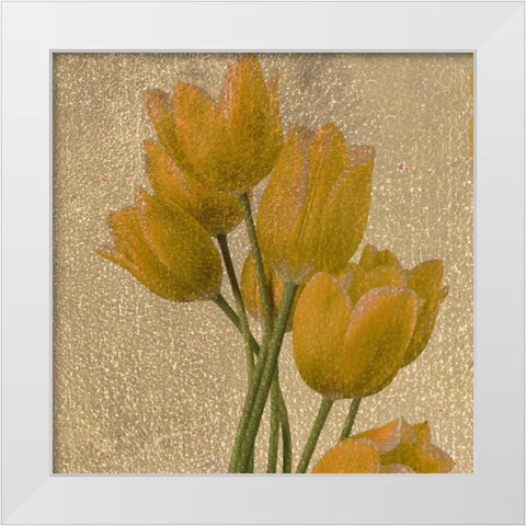 OSCAR GOLD A1 White Modern Wood Framed Art Print by Greene, Taylor