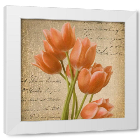 ORANGE TULIP I ON GOLD White Modern Wood Framed Art Print by Greene, Taylor