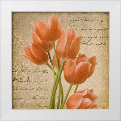 ORANGE TULIP I ON GOLD White Modern Wood Framed Art Print by Greene, Taylor