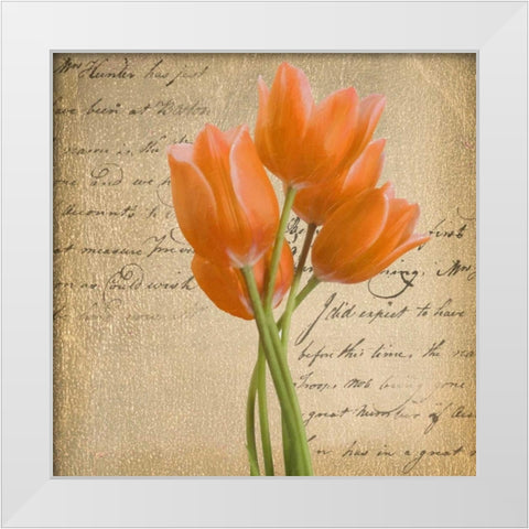 ORANGE TULIP II ON GOLD White Modern Wood Framed Art Print by Greene, Taylor