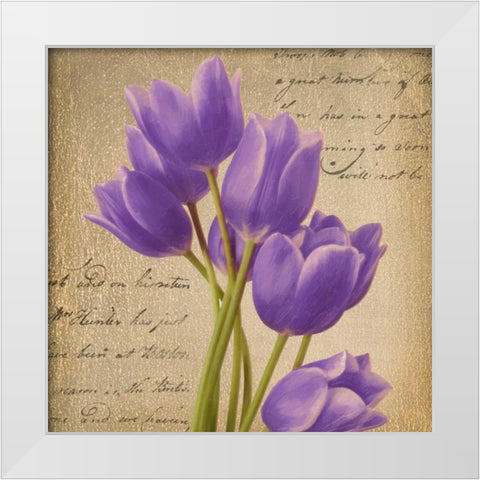 PURPLE TULIP I ON GOLD White Modern Wood Framed Art Print by Greene, Taylor