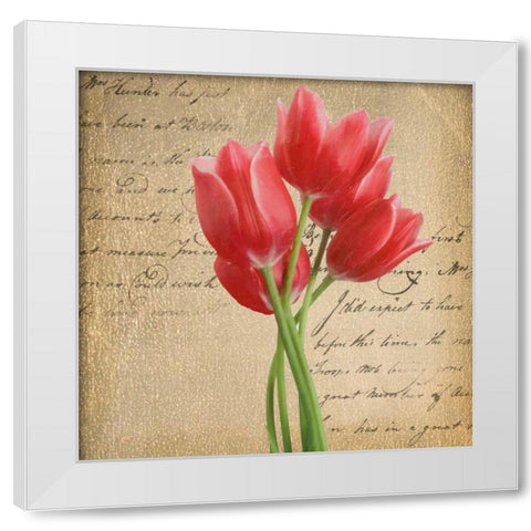 RED TULIP II ON GOLD White Modern Wood Framed Art Print by Greene, Taylor