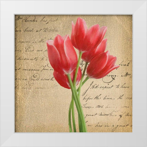 RED TULIP II ON GOLD White Modern Wood Framed Art Print by Greene, Taylor