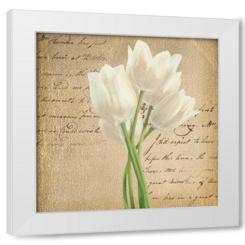 WHITE TULIP II ON GOLD B White Modern Wood Framed Art Print by Greene, Taylor