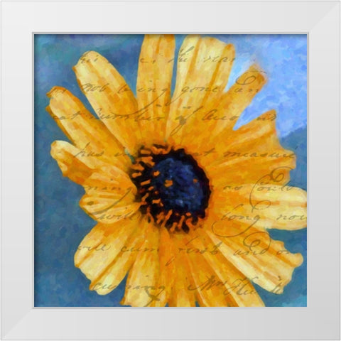 SCRIPTED WILD SUNFLOWER I White Modern Wood Framed Art Print by Greene, Taylor