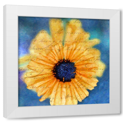 SCRIPTED WILD SUNFLOWER II White Modern Wood Framed Art Print by Greene, Taylor