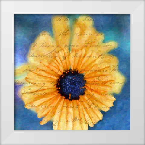 SCRIPTED WILD SUNFLOWER II White Modern Wood Framed Art Print by Greene, Taylor