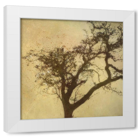 Silo Beauty Tree White Modern Wood Framed Art Print by Greene, Taylor