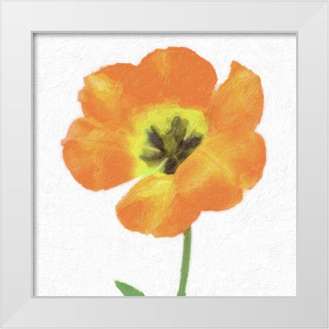 CIRCUS ROSE White Modern Wood Framed Art Print by Greene, Taylor