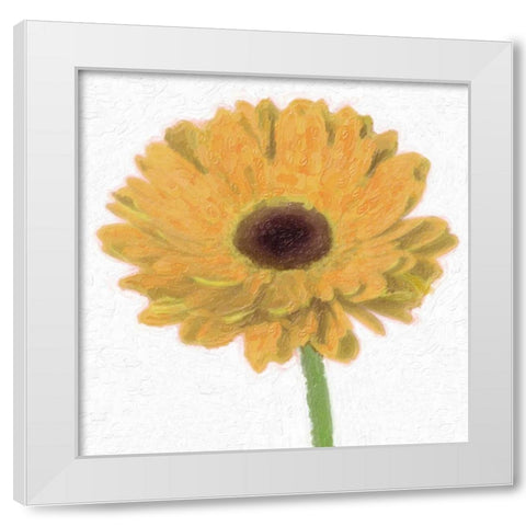 GERBER White Modern Wood Framed Art Print by Greene, Taylor