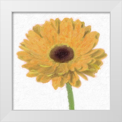 GERBER White Modern Wood Framed Art Print by Greene, Taylor