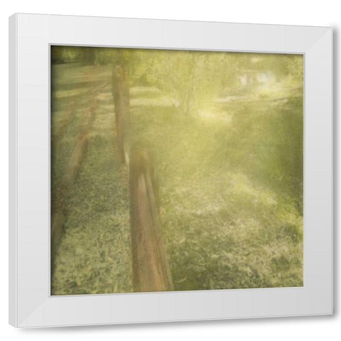Sunlight Silhouette White Modern Wood Framed Art Print by Greene, Taylor