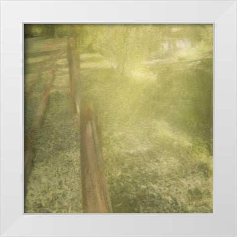 Sunlight Silhouette White Modern Wood Framed Art Print by Greene, Taylor