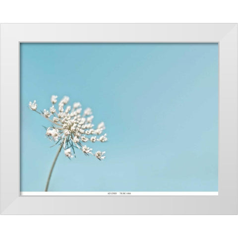 Lace 1 Blue White Modern Wood Framed Art Print by Telik, Tracey