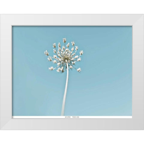 Lacey 2 White Modern Wood Framed Art Print by Telik, Tracey