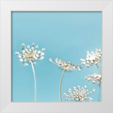 Queens 40 White Modern Wood Framed Art Print by Telik, Tracey