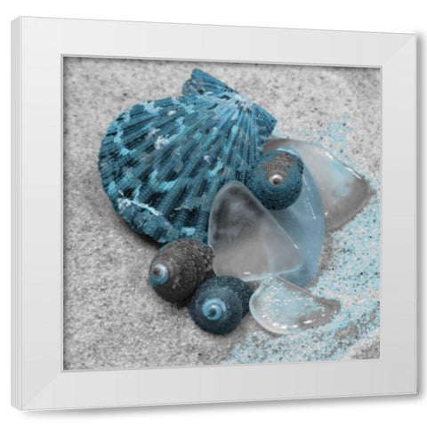 Blue Shells White Modern Wood Framed Art Print by Pazan, Tony