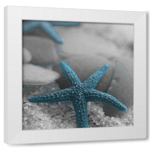 Blue Star White Modern Wood Framed Art Print by Pazan, Tony