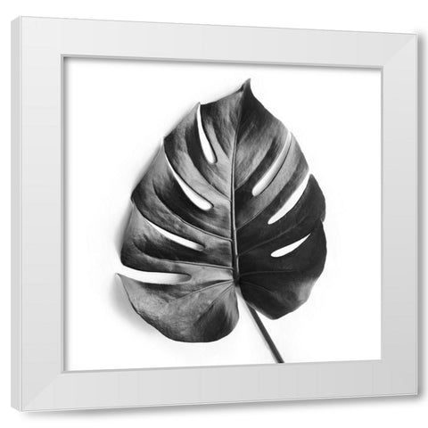 Monstera White Modern Wood Framed Art Print by Urban Epiphany