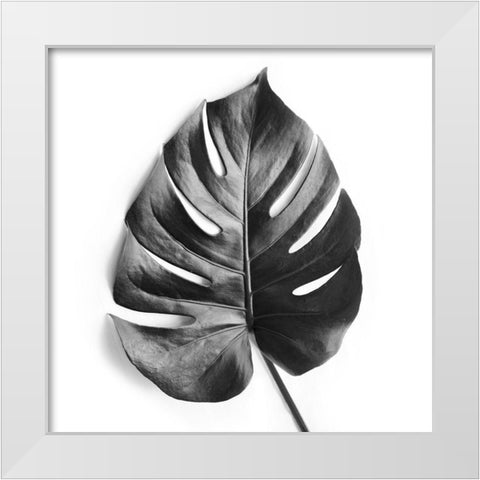 Monstera White Modern Wood Framed Art Print by Urban Epiphany