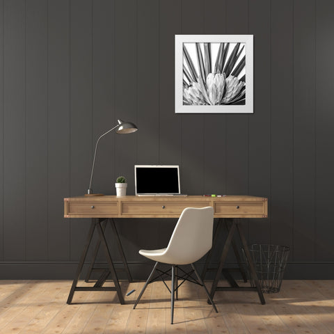 Protea White Modern Wood Framed Art Print by Urban Epiphany