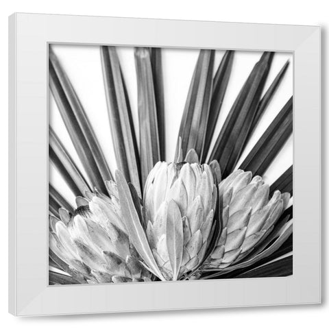 Protea White Modern Wood Framed Art Print by Urban Epiphany